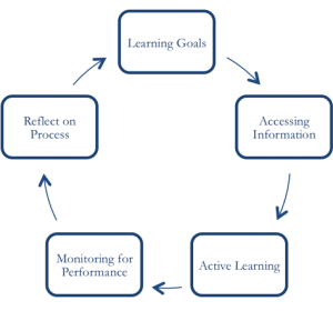 LearningGoalsCycleTaraBeziat